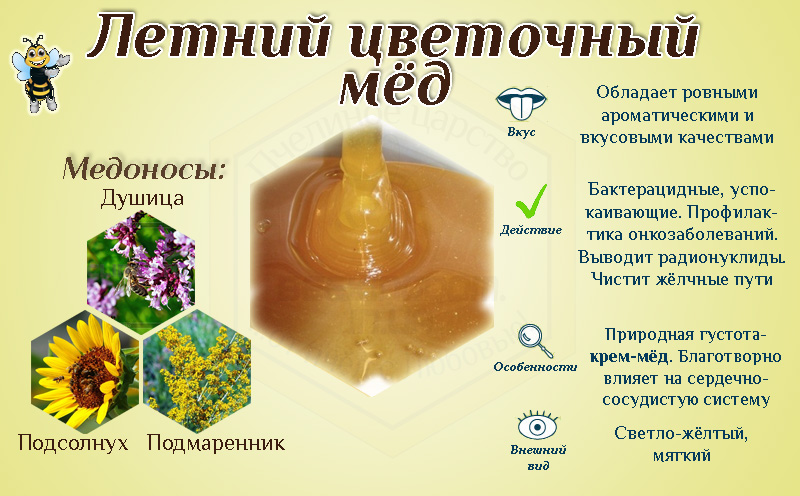 Описание сорт мёда Описание сорт мёда